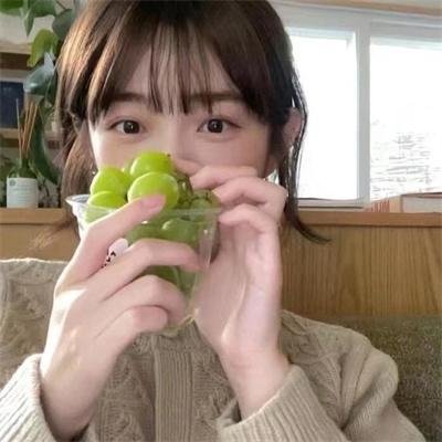 庇护